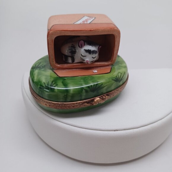 Limoges France Porcelain Cat in Box On Green Grass Trinket Box Peint Main - Picture 9 of 14